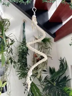 いんこ大好き様 リクエスト 2点 まとめ商品