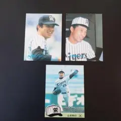 プロ野球チップスカード　阪神タイガース　山本和行　掛布雅之　佐野仙好　カルビー