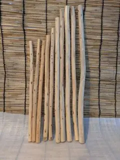 流木 10本セット