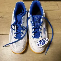 Item thumbnail for item 654ace82-4d1a-47ba-bbf9-350f3b9a2b7d