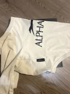 Item thumbnail for item 296b5949-6acd-4a7a-86fc-58851b536540