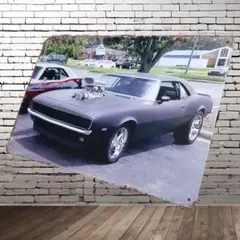 Item thumbnail for item 3b13b87e-6fe5-4dc5-b7ff-1b069e1ccdda