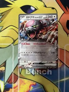 ガチグマアカツキex ノーマル