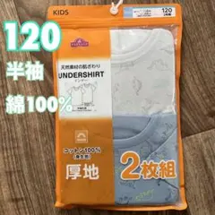 Item thumbnail for item ed5ed501-5e1f-464c-bdb3-5543d2bbcf30