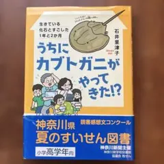 『うちにカブトガニがやってきた!?』石井里津子 小学生高学年向け読書感想文夏休みのサムネイル