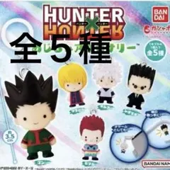 HUNTER×HUNTER めじるしアクセサリー　全5種　フルコンプ