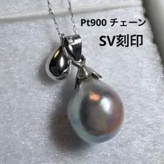 Item thumbnail for item 2b59cd83-ebb5-475b-9069-a7ebe98f1145