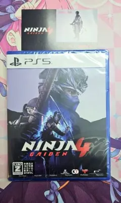 Ninja Gaiden 4 ニンジャガイデン a