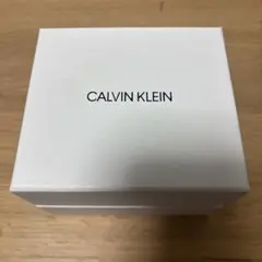 CALVIN KLEIN Cロゴペンダント ネックレス