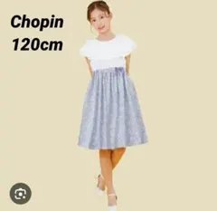 Item thumbnail for item 3b4b24d6-da22-4917-8836-822348842049