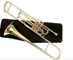 お値下げしました❗新品未使用 AXIS バルブトロンボーン 早い人勝ち！希少❗新品未使用 AXIS バルブトロンボーン - メルカリ