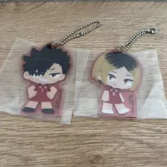 ハイキュー!! 一番くじ　ゴミ捨て場の決戦　黒尾鉄朗　孤爪研磨　Ｈ賞