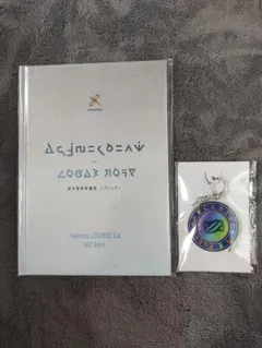 Pokemon LEGENDS ZA アートブック　キーストーン風キーホルダー