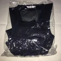 Item thumbnail for item e5b17e1c-261c-469c-b376-204d84f5072a