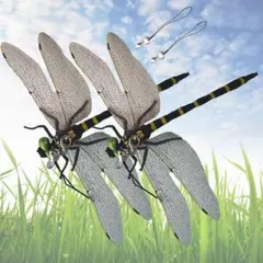 Item thumbnail for item ced688ea-c5e8-406e-8078-fc4a95a3f08d