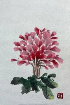 ポストカード(原画)ーシクラメン