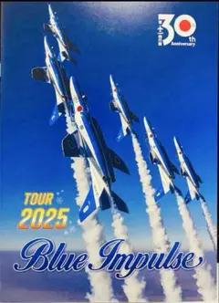 【らくらくメルカリ便】ブルーインパルス 2枚セット ブルーインパルス T-4 2機セット 1/72 - メルカリ