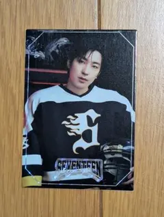 SEVENTEEN's HOME ウォヌ トレカ 17番