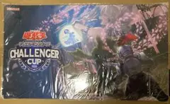 遊戯王 中国 プレイマット ビッグウェルカム ラビュリンス 未開封 遊戯王 中国 プレイマット ビッグウェルカム ラビュリンス 未