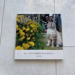 猫と花