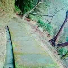 ぱーまくん様専用♡