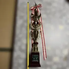 ②2022ルーキーズカップ優勝トロフィー スポーツ賞 記念品 置物【空手】のサムネイル