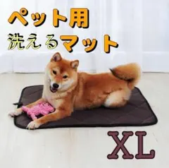⭐️洗える 厚型ペットシーツ 大判XL 防水マット大きいサイズ ブラウン 用品のサムネイル