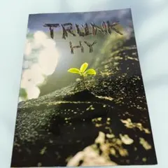 Item thumbnail for item 7f0ae73f-37ab-48b1-aaf3-26b369a74dc3