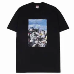 Item thumbnail for item ef0c8a37-c63f-4833-bd0b-178418bf6a00