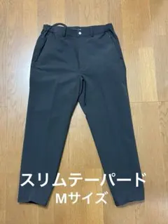 Item thumbnail for item 035d28ff-9a55-43cd-ab53-1e7bf51f0b47