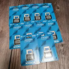 Item thumbnail for item 38796bb0-ae56-40d8-9bc6-9be8fd29c6d3