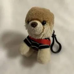 犬　ぬいぐるみ　ストラップ