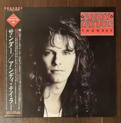 2026年最新】アンディテイラー cdの人気アイテム - メルカリ