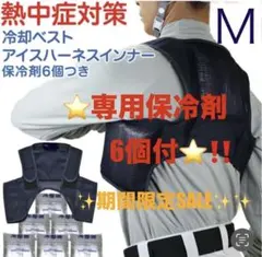 りんくる様 リクエスト 2点 まとめ商品