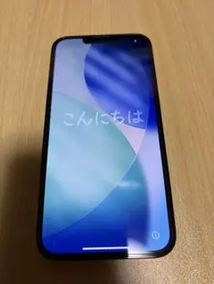 Apple iPhone 13 Pro グラファイト