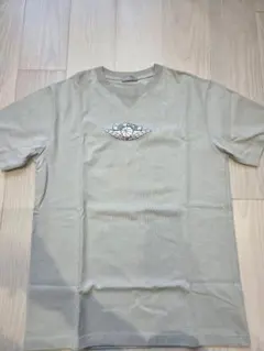 Dior ディオール Jordan ジョーダン Tシャツ グレー