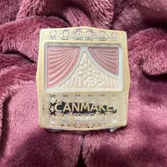 CANMAKE ジューシーピュアアイズ　 14