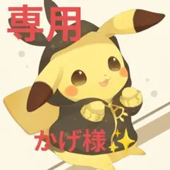 かげさん様 リクエスト 2点 まとめ商品