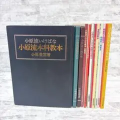 小原流 いけばな 教本 11冊セット 生花 基本 作例集 基礎 2026年最新】小原流 教本の人気アイテム - メルカリ