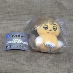 2026年最新】ハイキュー 宮侑 ぬいぐるみの人気アイテム - メルカリ