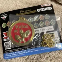 ポケモン 一番くじ 30周年記念 メタルチャーム Galar　ヒバニーのサムネイル