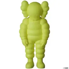 KAWS WHAT PARTY 新品未開封4点セット KAWS WHAT PARTY 4体セット