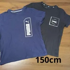 PUMA 半袖Tシャツ　150cm