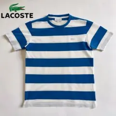ラコステ ボーダー Tシャツ 鹿の子 ホワイト×ブルー 3 S相当