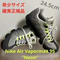 Nike Air Vapormax 95 