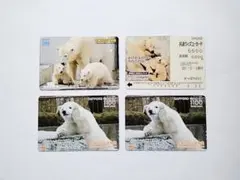 【希少】ホッキョクグマ ウィズユーカード 円山動物園 ツインズ ララ ピリカ