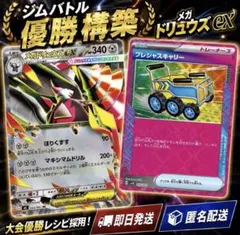 360ダメ安定 ニダンギルvsメガドリュウズex 構築済みデッキ 2デッキ