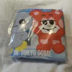 RIIZE ブランケットのみ　アプグレ特典　東京ドーム