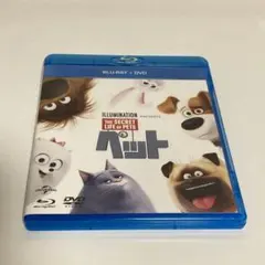 最終値下げ！　ペット アナと雪の女王 ブルーレイ+DVD セット