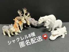 2026年最新】シャクレ プラネットの人気アイテム - メルカリ